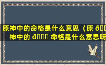 原神中的命格是什么意思（原 🌸 神中的 🐟 命格是什么意思呀）